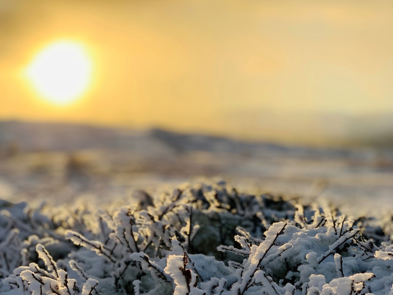 Vinter og sol
