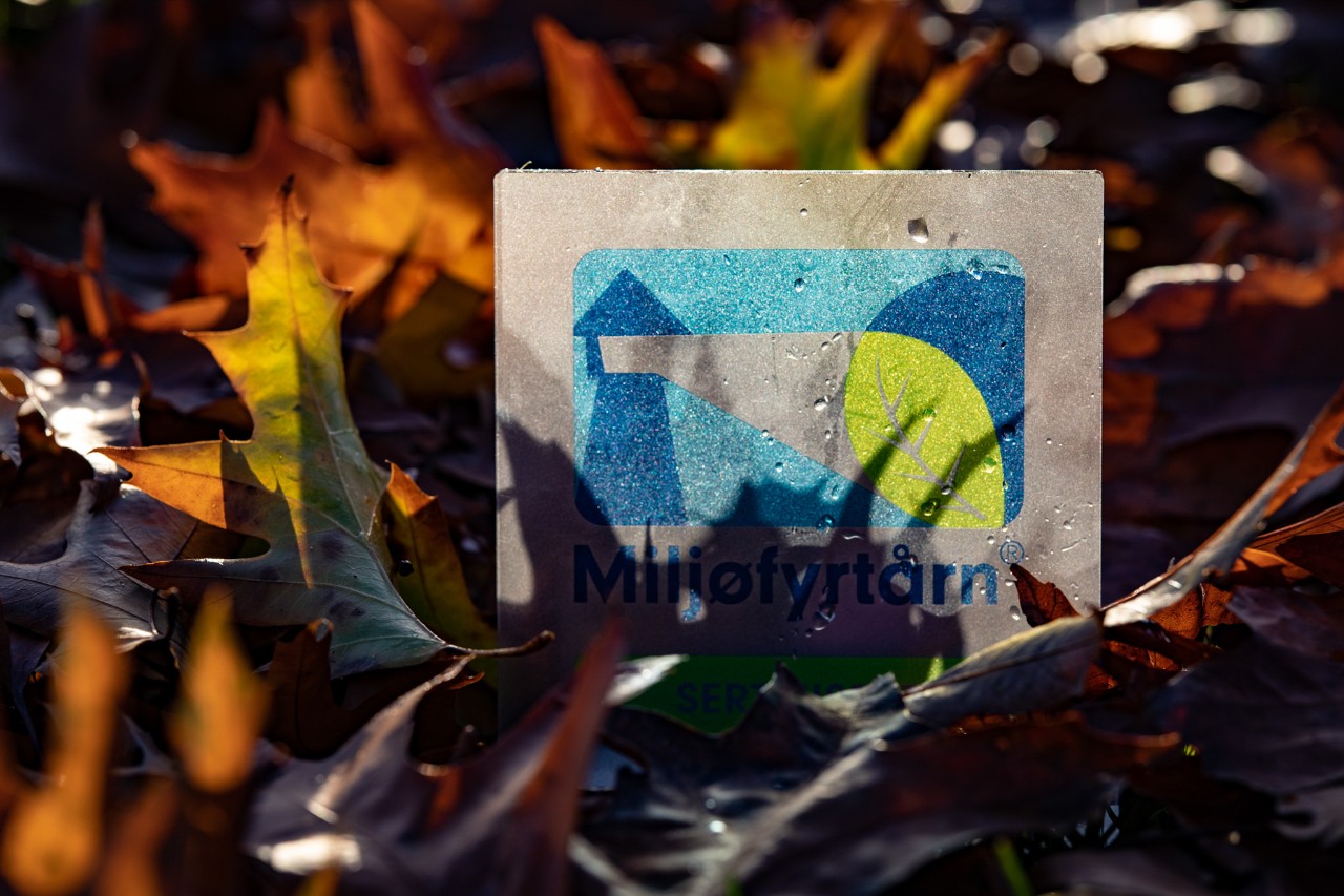 Miljø og økonomi toppbilde