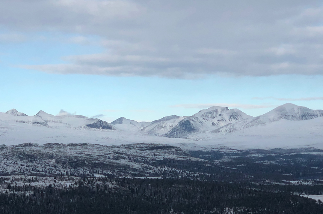 sb1ls-turtips-sindre3