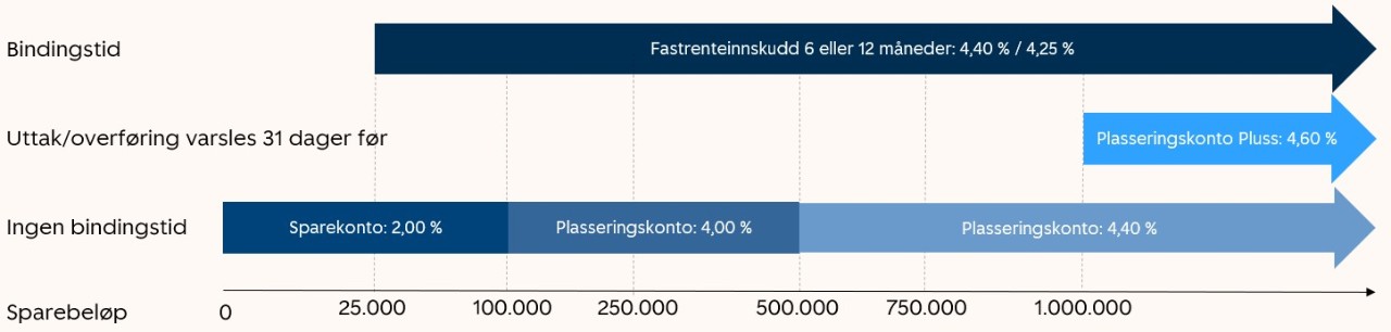 Kontoveileder - hvilken sparekonto skal jeg velge?