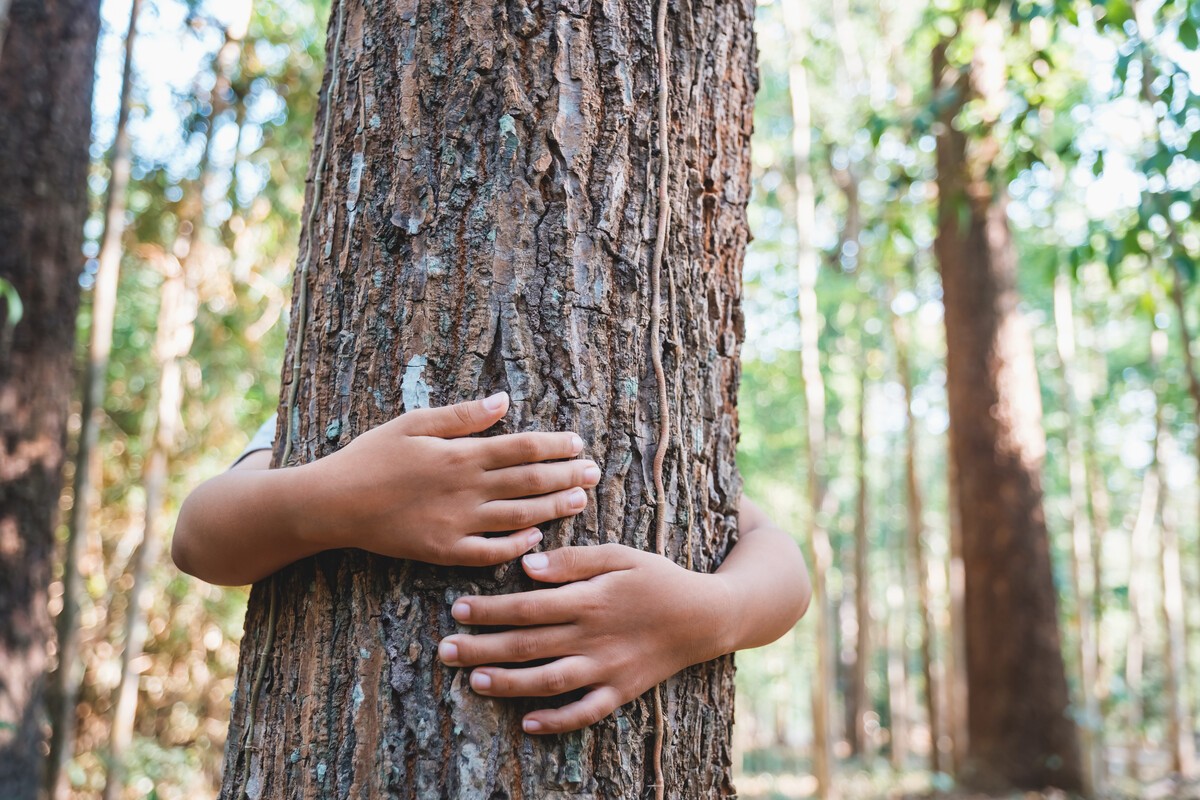 Child stand behind and give a hug to the old tree in the tropical forest