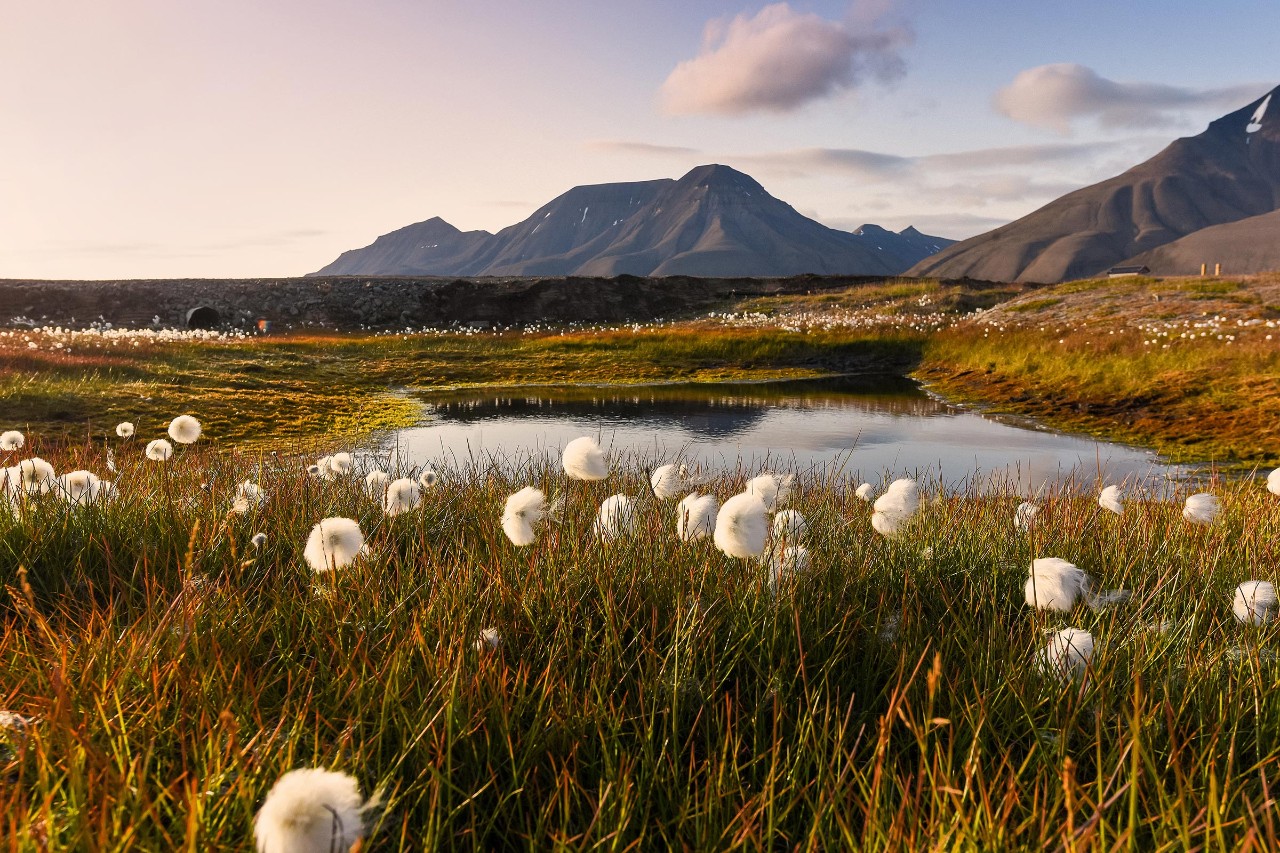 smn-investor-q3-2025-rapport