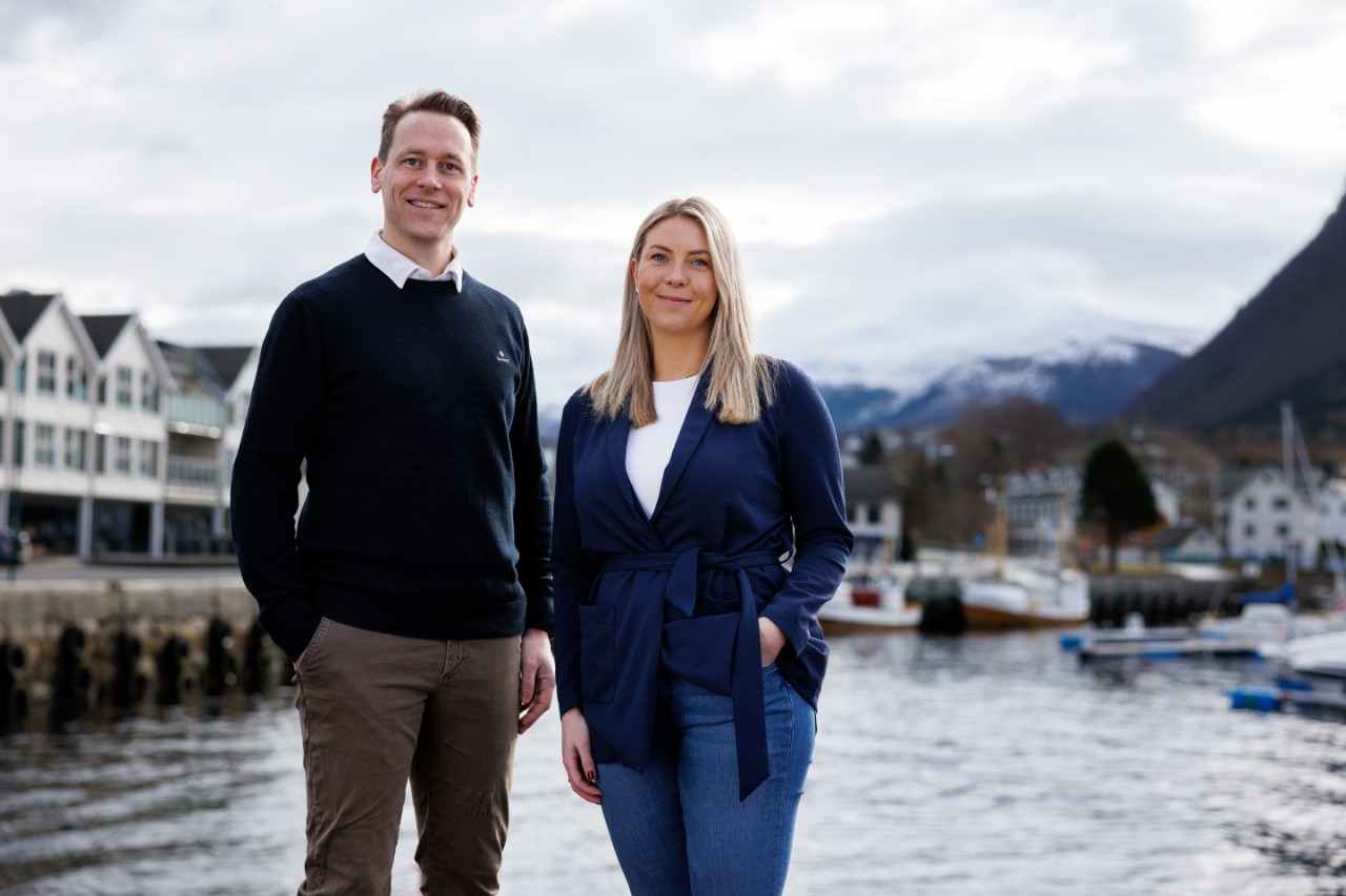 Rådgivere SMN ansatte