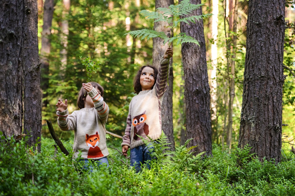 smn-barekraft-skog-barn