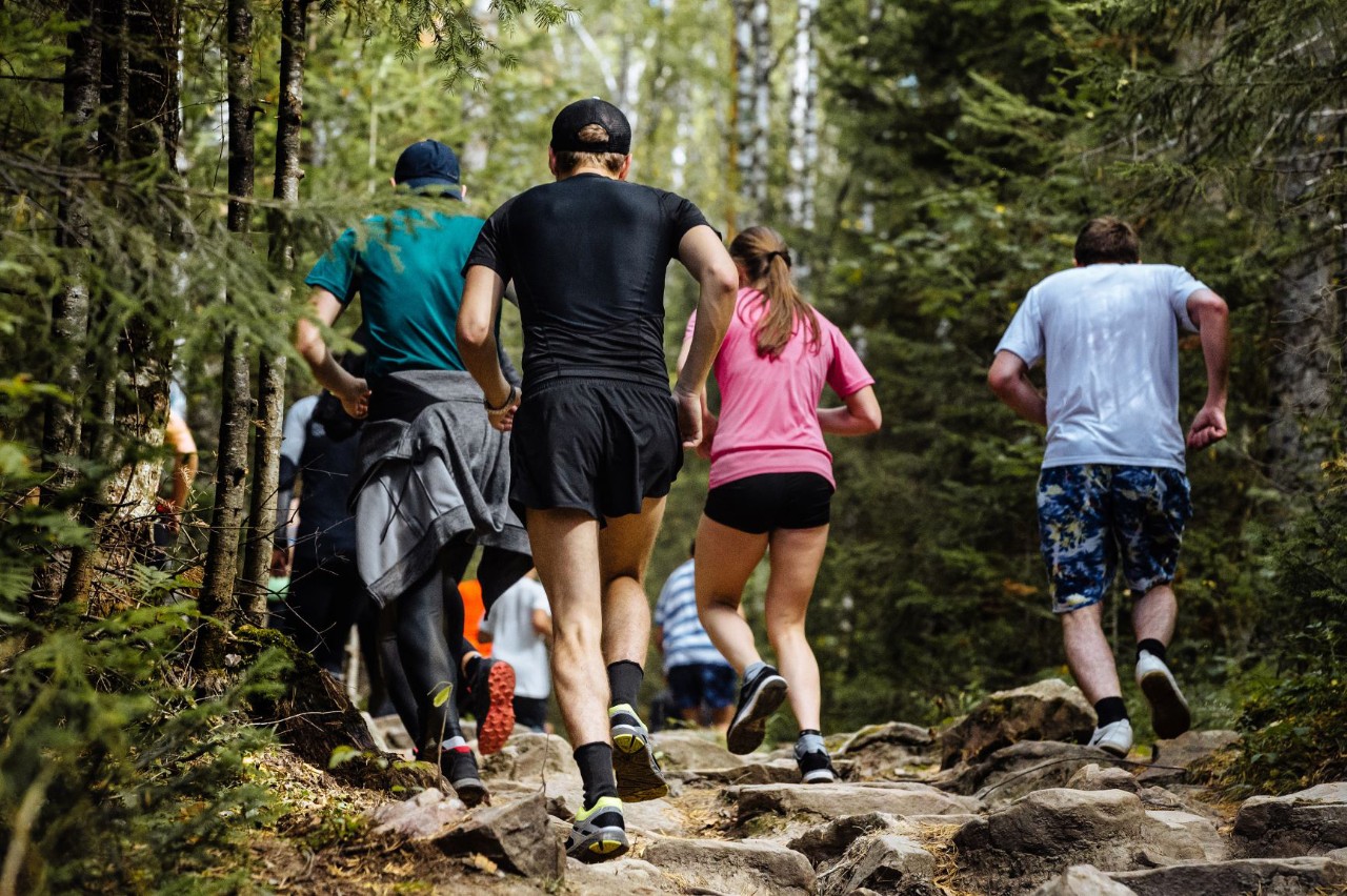 Gruppe løper i skogen HR aktiv fritid