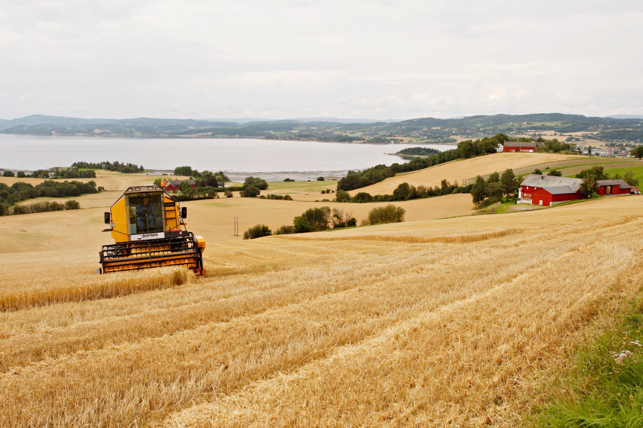 smn-em1-landbruksmeglere