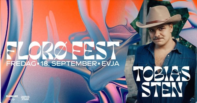 plakat til stryn visefestival