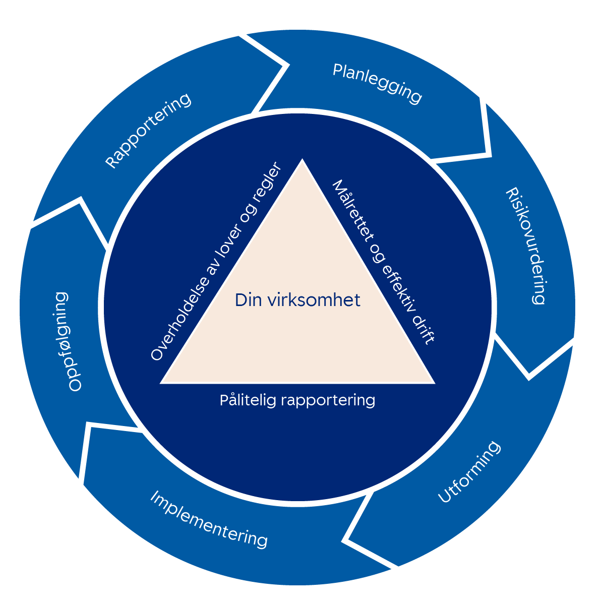 CFO årshjul. Illustrasjon.