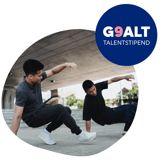 srbank-g9alt-logo-dans