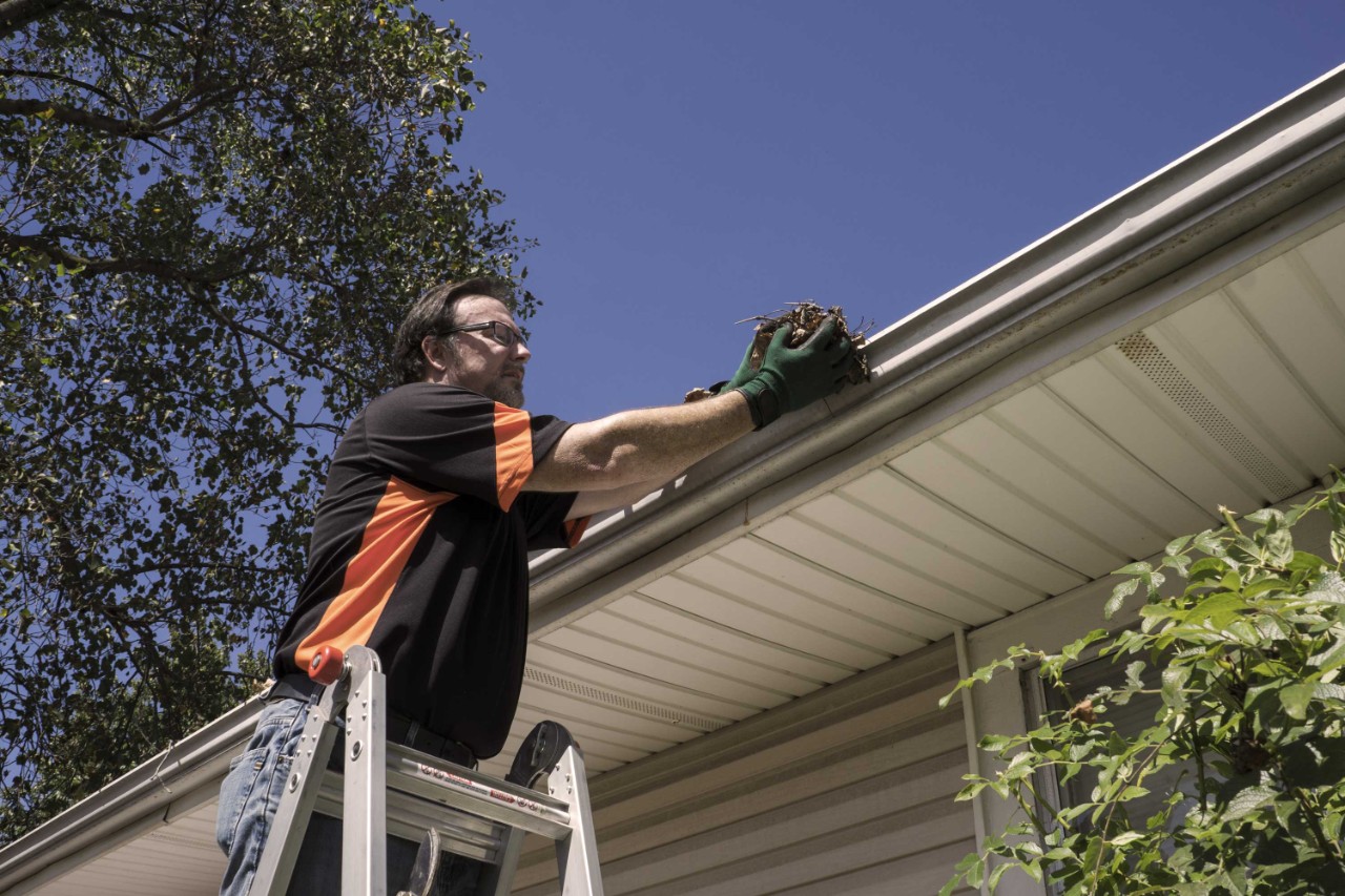 mann vedlikeholder huset sitt ved å rense takrenner for løv