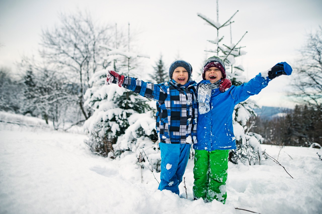 Cold winter day. Little twins are having a lot of fun playing in fresh snow in the forest.