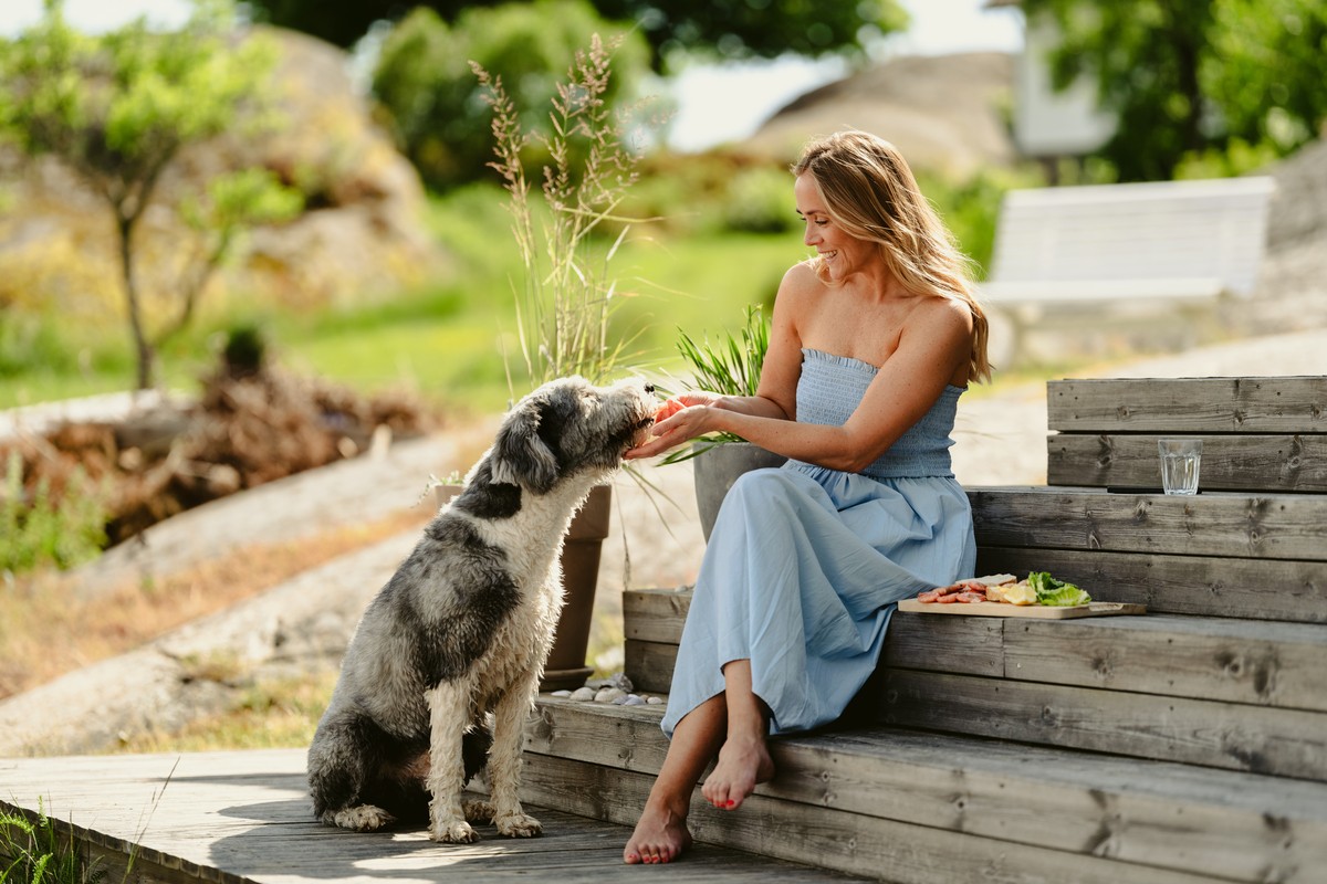 Fastrenteinnskudd - få bankens beste innskuddsrente ved å binde pengene og renta i en avtalt periode.