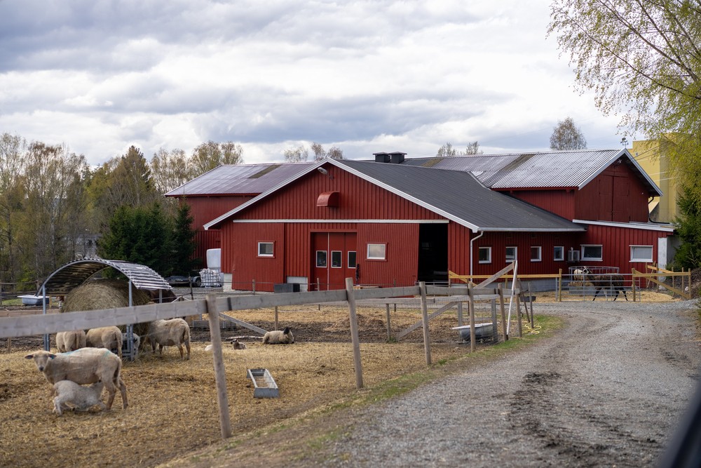 driftsbygning på gård med dyrehold som har foretatt el-kontroll