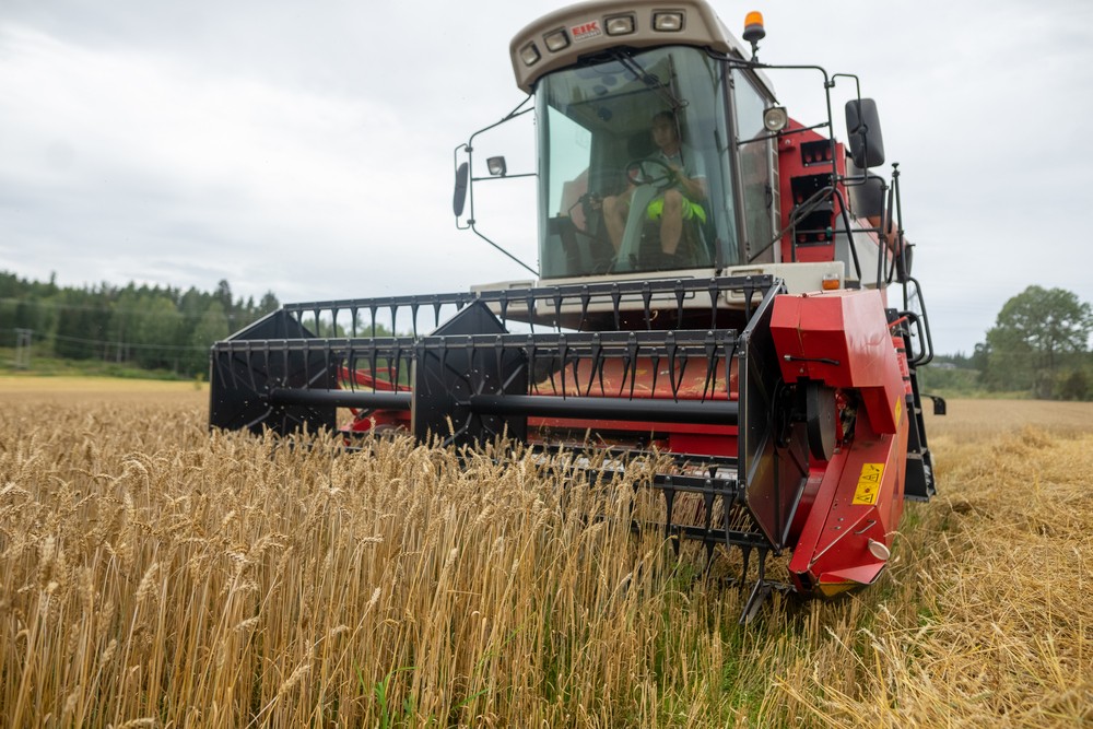landbruk åker skurtresker avling korn