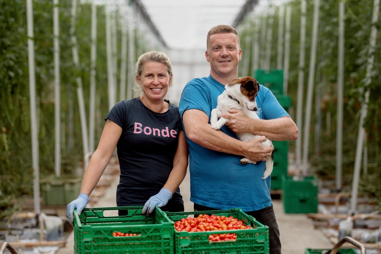 to bønder som har ulykkesforsikring har sanket tomater og står og smiler mot kamera