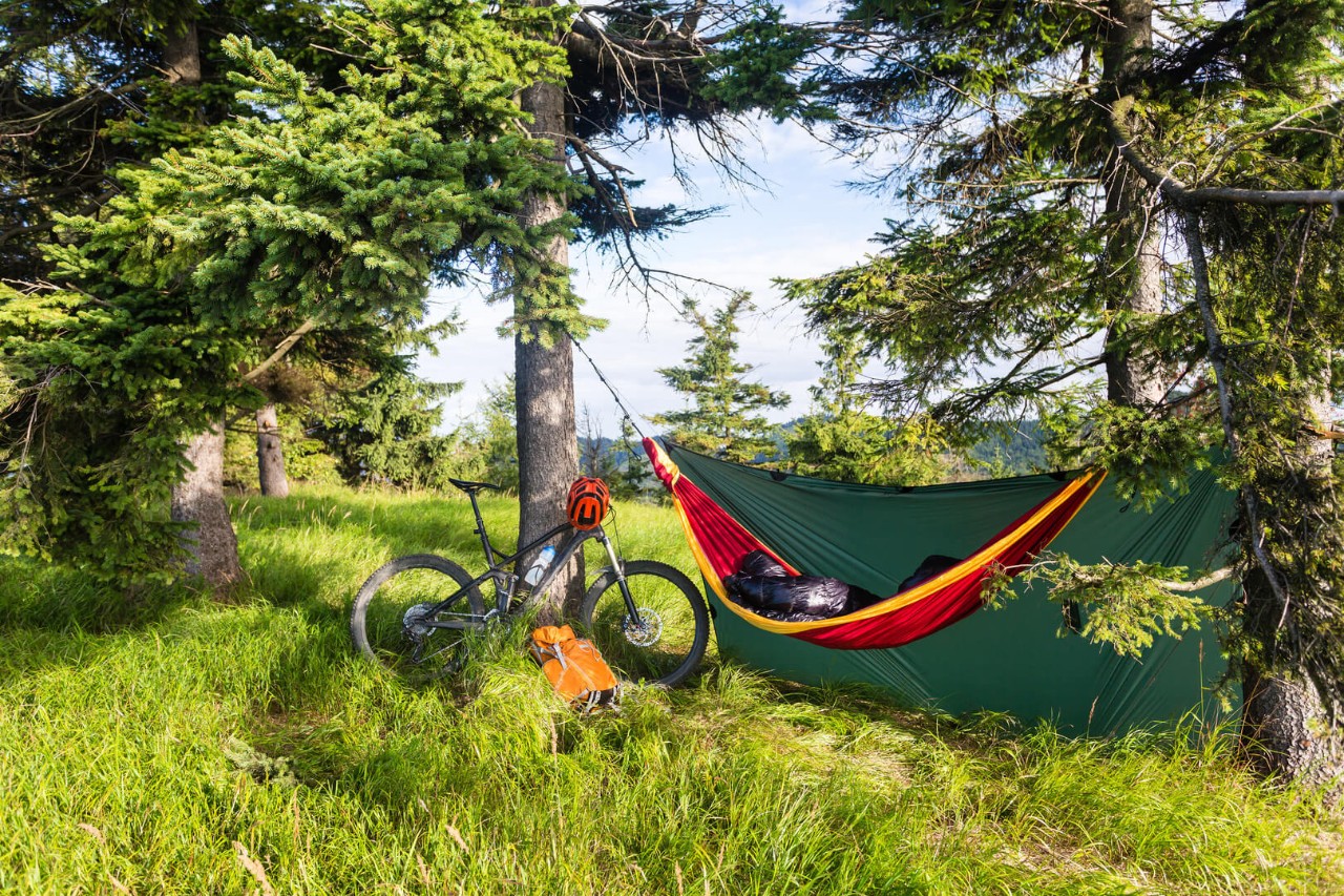 parkert sykkel og oppsatt telt i skog med flott natur