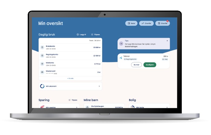 Min oversikt i nettbanken